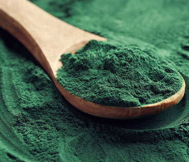 Spirulina-Powder.jpg